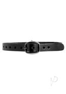 Strict Leather Unisex Leather Choker With O-ring - M/l - Black